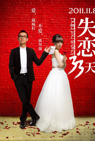 Poster 1 de Filme Love is Not Blind (2011)