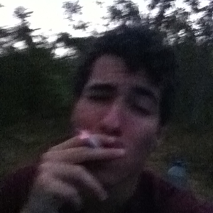 Foto de perfil de Guilherme