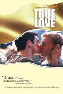 True Love - Poster / Capa / Cartaz - Oficial 1