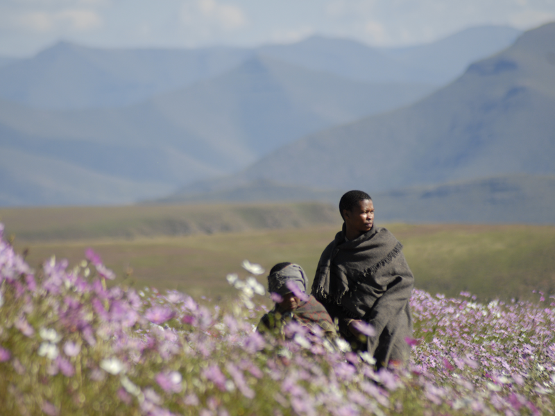 Foto 2 de The Forgotten Kingdom