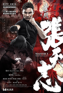 Mestre Z: O Legado de Ip Man - Poster / Capa / Cartaz - Oficial 6