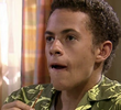 Épisode 237