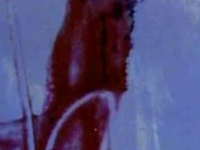 Foto 1 de Persian Series #8