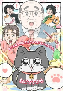 Neko ni Tensei shita Ojisan (ねこに転生したおじさん)