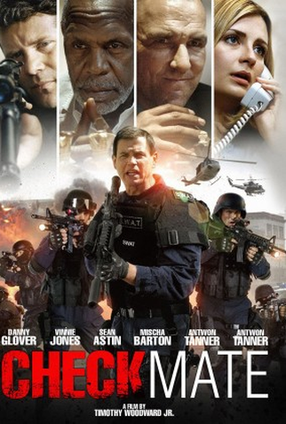 Poster 4 de Filme Sacada de Mestre (2015)