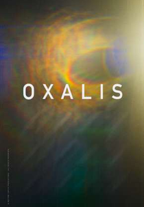 Oxalis (Oxalis)