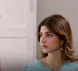 23 قسط 