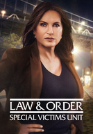 Lei & Ordem: Unidade de Vítimas Especiais (22ª Temporada) (Law & Order: Special Victims Unit (Season 22))