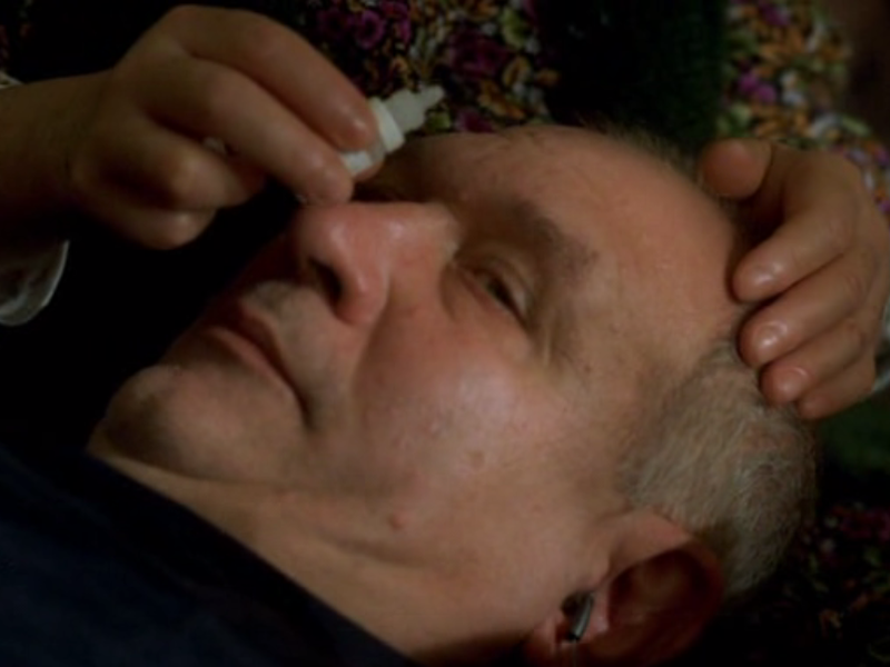 Foto 5 de Sistemul nervos 