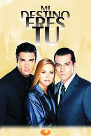 Poster 1 de TV Você é meu destino (2000)