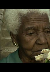 Tia Eulália: O Império do Divino (Tia Eulália: O Império do Divino)