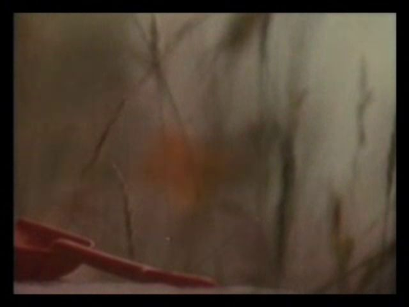 Foto 1 de Red Shovel