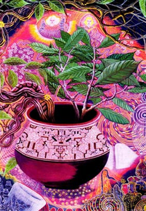 Ayahuasca, Eu e a Serpente (Ayahuasca, The Snake and I)