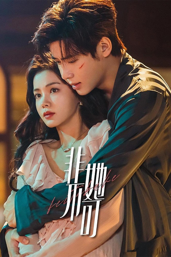Poster de Franquia 非她不可 (2024)