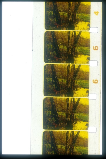 Poster de Curta Tahousse (2006)