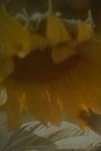 Poster de Filme Beating (1995)