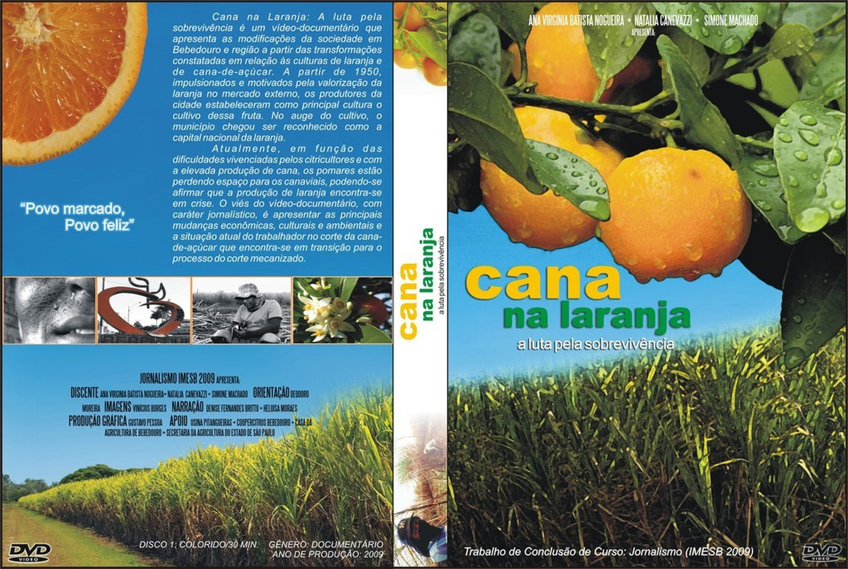 Gustavo Pessoa - Foto 4