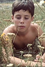 Maroš Rexa