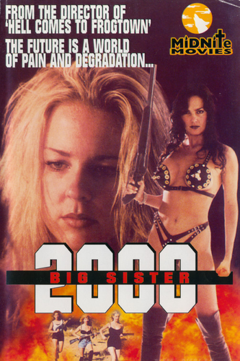 Poster de Filme Big Sister 2000 (1995)