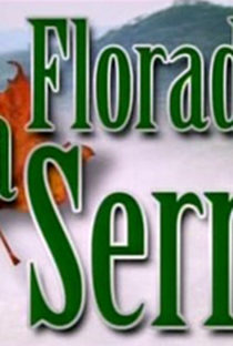 Floradas na Serra - Poster / Capa / Cartaz - Oficial 1