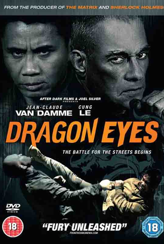 Poster 3 de Filme Olhos de Dragão (2012)