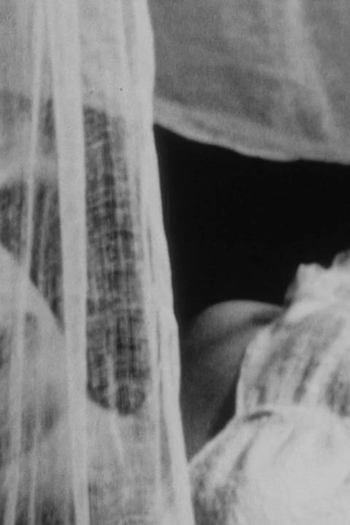  de Curta Picnic (1949)