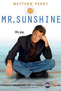 Mr. Sunshine (1ª Temporada) - Poster / Capa / Cartaz - Oficial 1