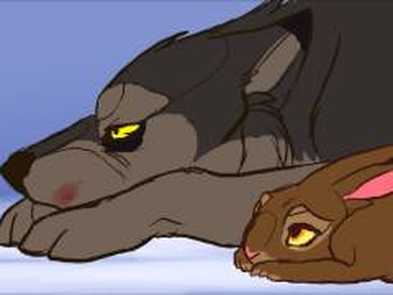 Foto 1 de Dear Rabbit