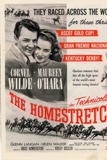 Tu Voltarás, Querida (The Homestretch)