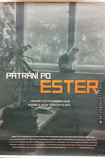 Poster de Filme Em busca de Ester (2005)