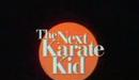 The Next Karate Kid (1994) Film Trailer