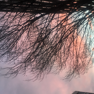 Foto de perfil de Bruna