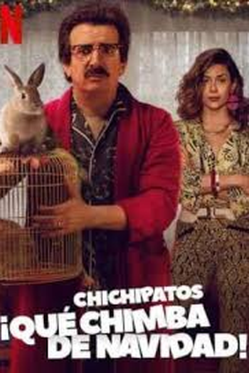 Poster de Filme Um Natal Nada Mágico (2020)