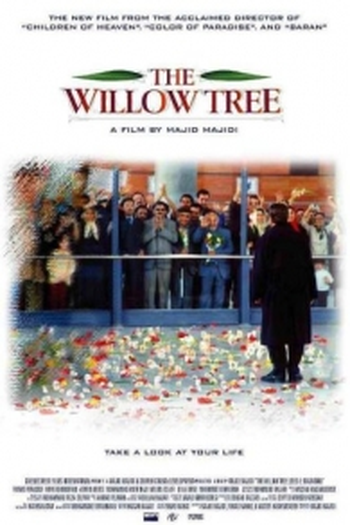  de Filme Entre Luzes e Sombras (2005)