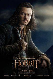 O Hobbit: A Desolação de Smaug - Poster / Capa / Cartaz - Oficial 23
