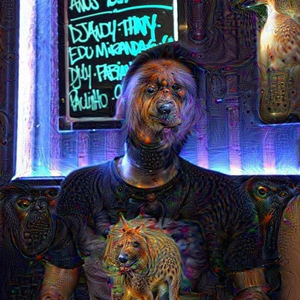 Foto de perfil de Felipe