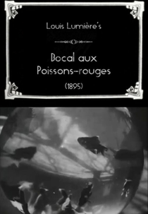 Bocal aux poissons-rouges (Bocal aux poissons-rouges)