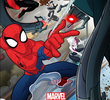 Marvel's Spider-Man Curtas
