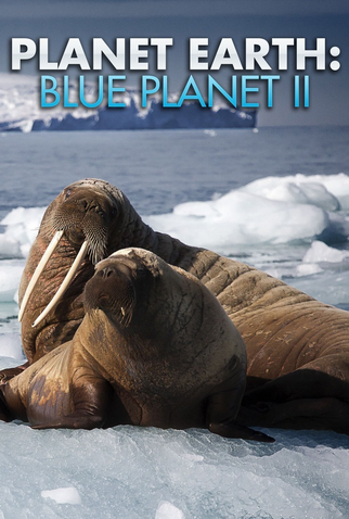 Poster 2 de Série Planeta Azul II (2017)