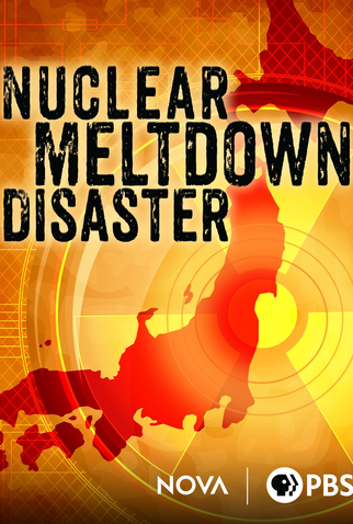 Poster 1 de Filme Nuclear Meltdown Disaster (2015)