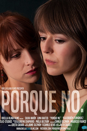 Poster de Curta Porque não. (2016)