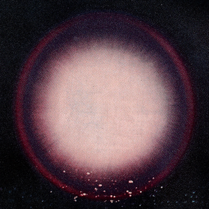 Foto de perfil de luisa