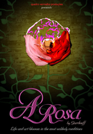 A Rosa (A Rosa)