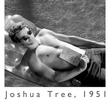 Joshua Tree, 1951 - Um Retrato de James Dean