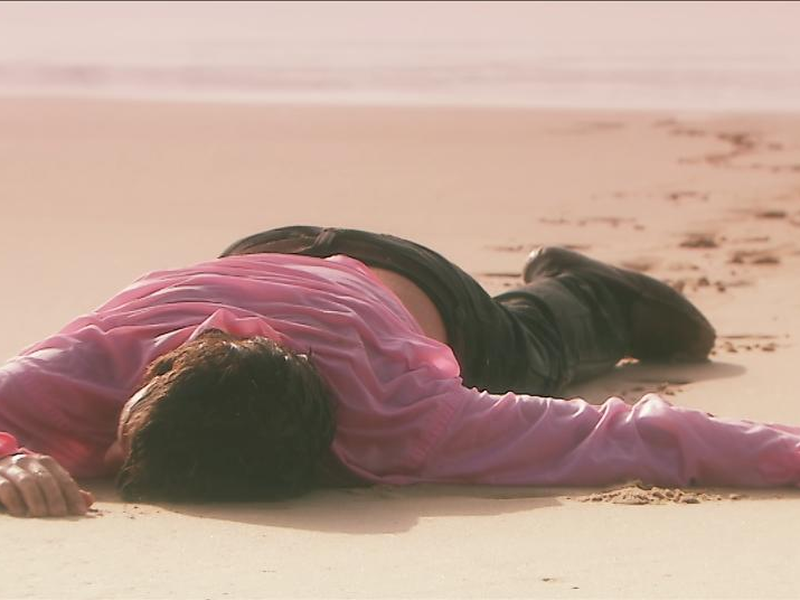 Foto 10 de The Honey Killer