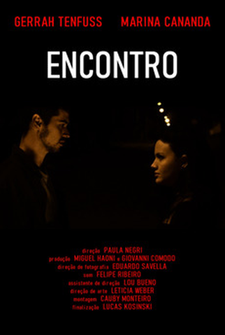 Poster 1 de Filme Encontro (2016)