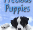 Precious Puppies