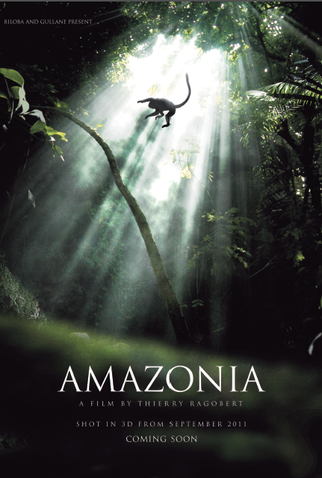 Poster 1 de Filme Amazônia - Planeta Verde (2013)