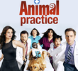 Animal Practice