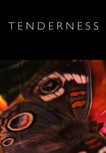 Jefre Cantu-Ledesma: Tenderness (Jefre Cantu-Ledesma: Tenderness)